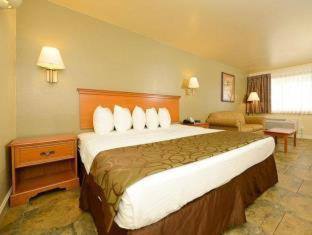 Best Western Padre Island Corpus Christi Zimmer foto
